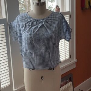 Stylish Blue Gingham Blouse